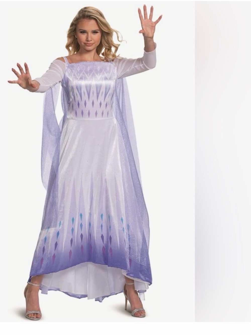 Disney Frozen 2 Elsa Adult 1x party dress and/or Halloween costume